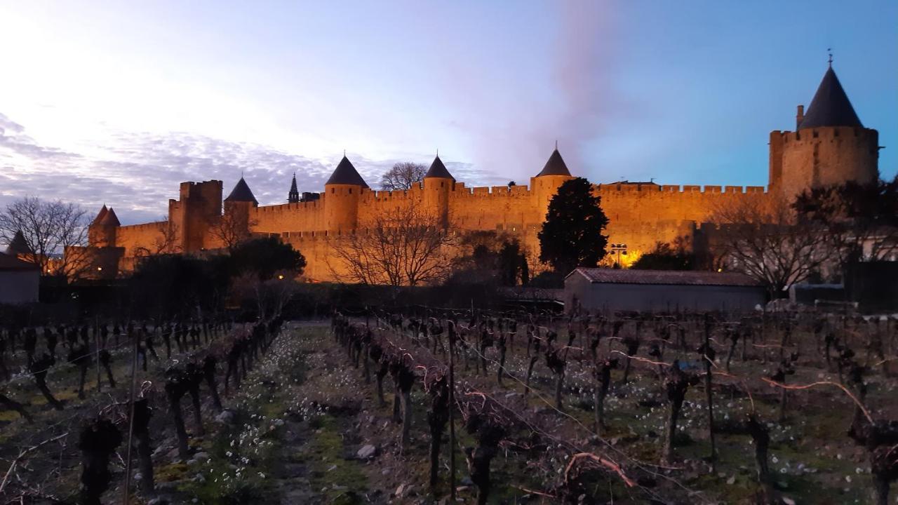 Domaine Fontgrande Gite Carcassonne Buitenkant foto
