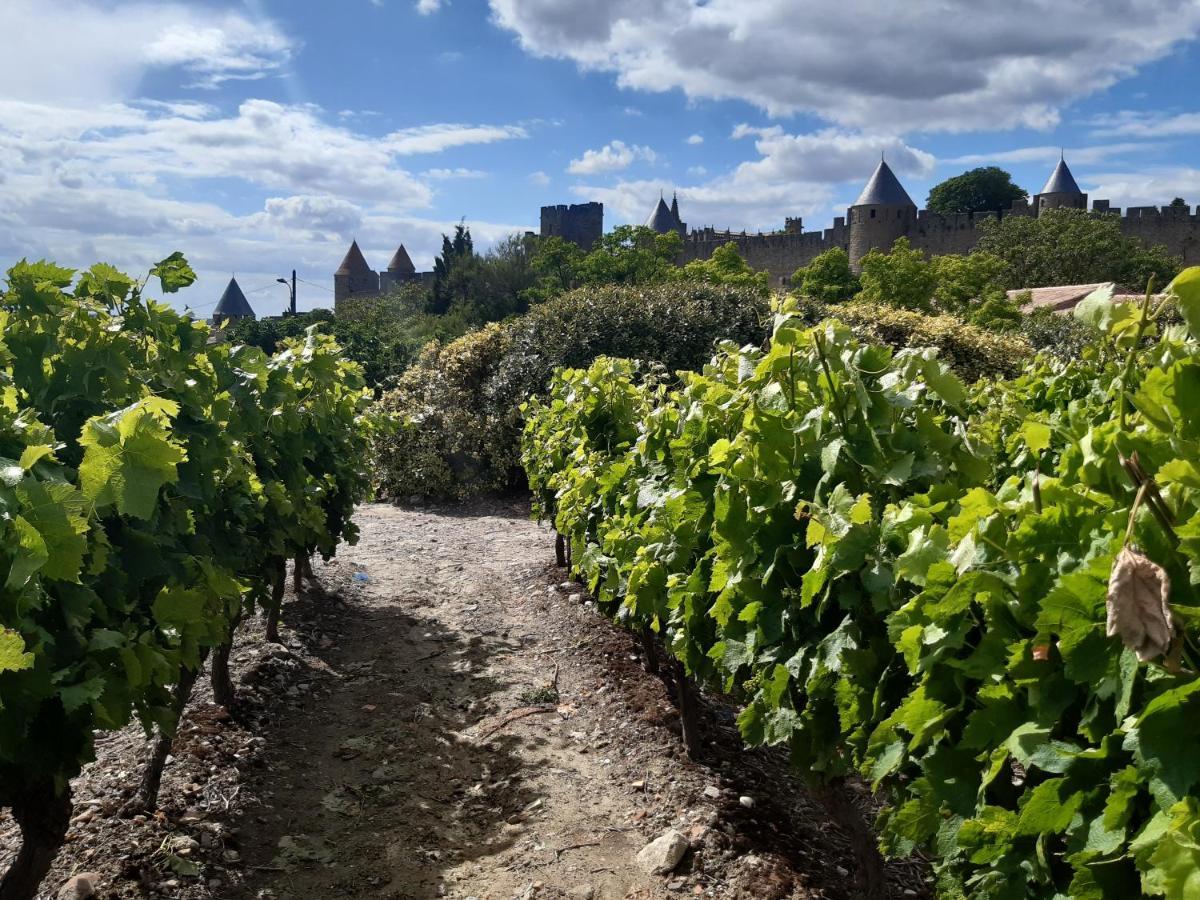 Domaine Fontgrande Gite Carcassonne Buitenkant foto
