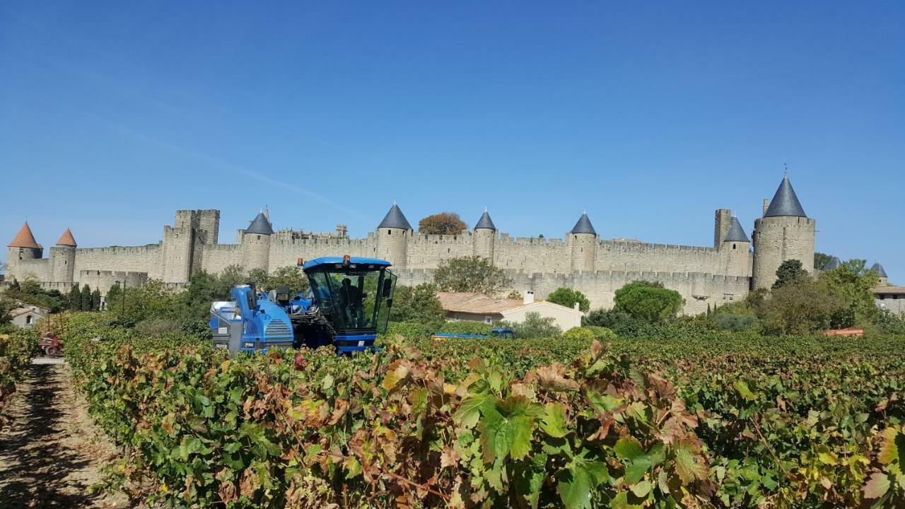 Domaine Fontgrande Gite Carcassonne Buitenkant foto